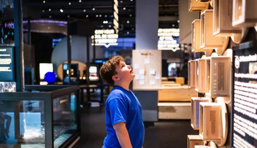A child looking up at a wall full of hourglasses with awe