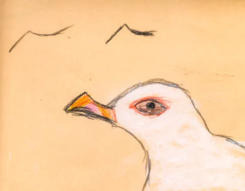 Child's drawing of a seagull's face with birds flying in the background.